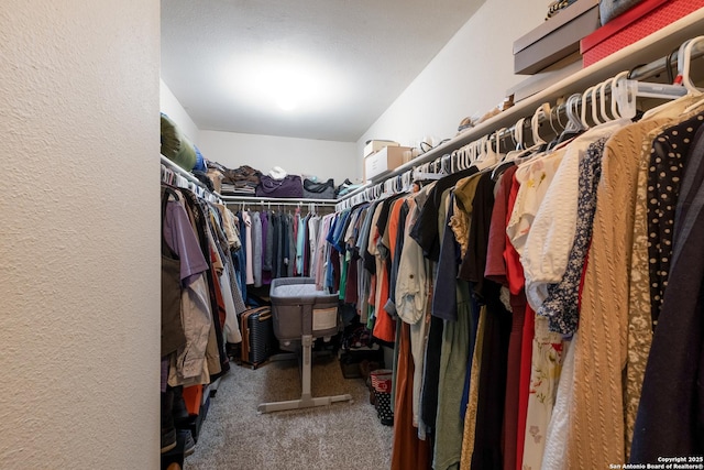 13314 Galicia, Universal City, TX 78148 - walk in closet featuring carpet
