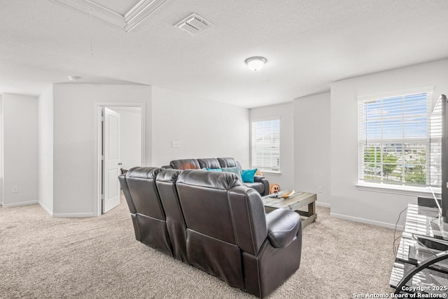 7526 Boxing Elm, San Antonio, TX 78244 - carpeted living room featuring baseboards, attic access, and a textured ceiling