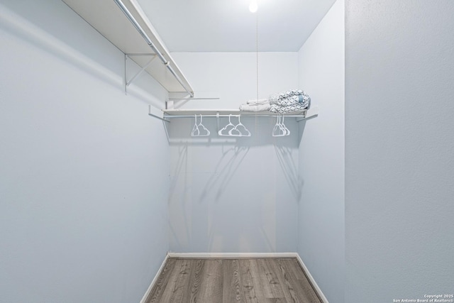 6718 Country Fld, San Antonio, TX 78240 - walk in closet with wood finished floors