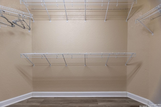 11610 Lemonmint, San Antonio, TX 78245 - walk in closet featuring wood finished floors