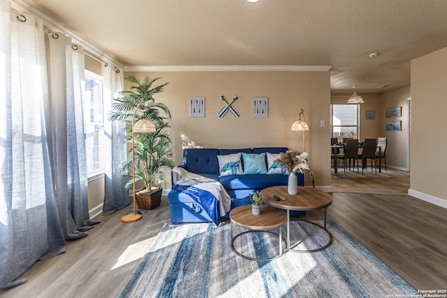 11610 Lemonmint, San Antonio, TX 78245 - living room featuring wood finished floors, a textured ceiling, baseboards, and ornamental molding
