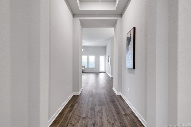 513 Foxbrook, Cibolo, TX 78108 - hallway with dark wood-style flooring and baseboards
