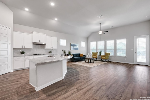 513 Foxbrook, Cibolo, TX 78108 - kitchen featuring vaulted ceiling, open floor plan, a ceiling fan, dark wood finished floors, and white cabinetry
