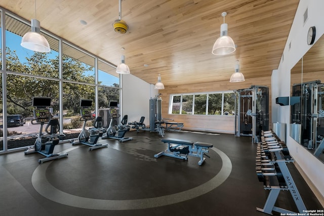 5957 Cerulean, Bulverde, TX 78163 - exercise room featuring expansive windows and wooden ceiling