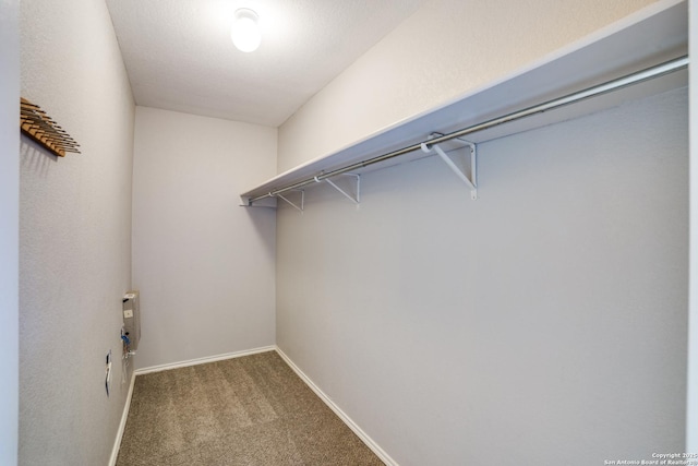 9843 Barhill Bay, San Antonio, TX 78245 - spacious closet with carpet flooring