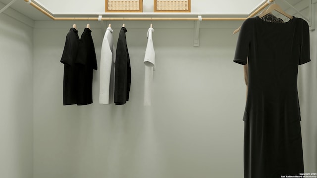 5650 Azure Aly, San Antonio, TX 78223 - view of walk in closet