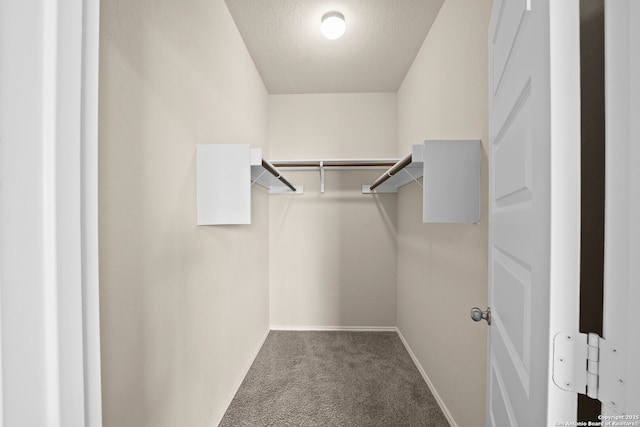 2429 Marty Way, Seguin, TX 78155 - walk in closet with carpet