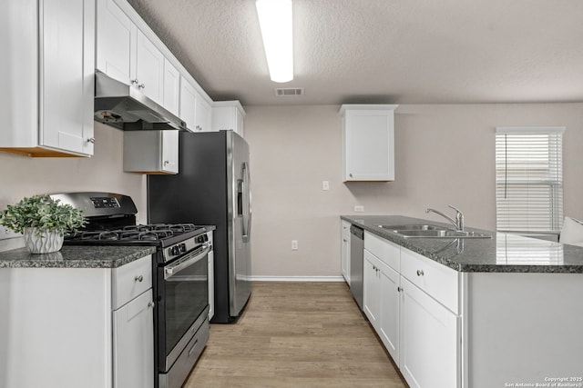 31553 Acacia Vis, Bulverde, TX 78163 - kitchen with stainless steel appliances, under cabinet range hood, a sink, a peninsula, and white cabinetry