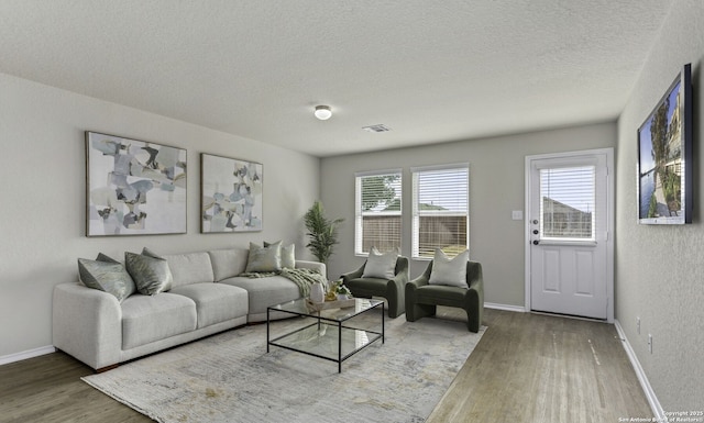 31553 Acacia Vis, Bulverde, TX 78163 - living room with wood finished floors, a textured ceiling, and baseboards