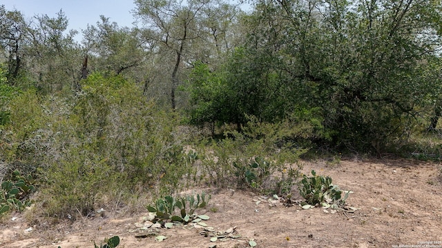 476 Fm, Somerset, TX 78069