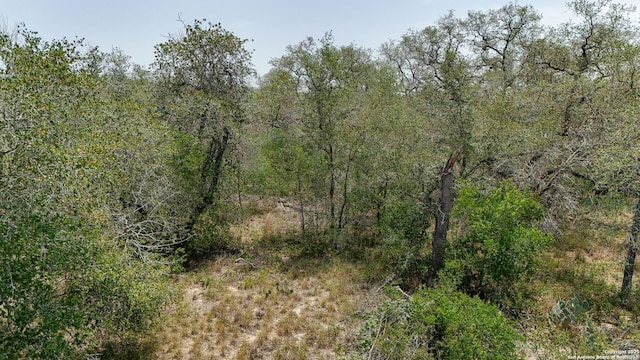 476 Fm, Somerset, TX 78069