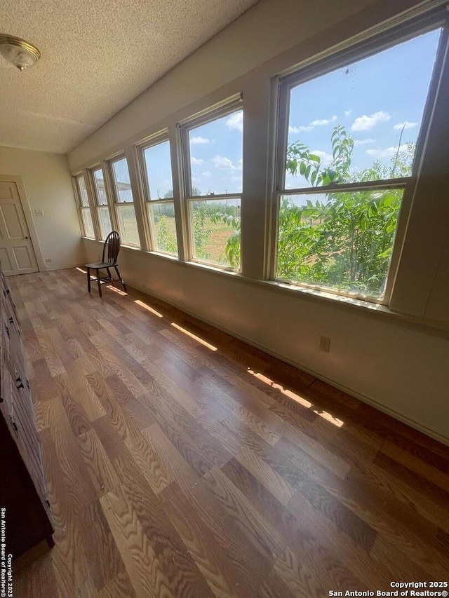 8439 Gardner, San Antonio, TX 78263 - view of unfurnished sunroom