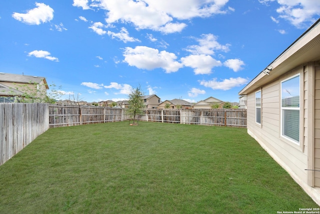 5903 Overture Dawn, San Antonio, TX 78252 - view of yard