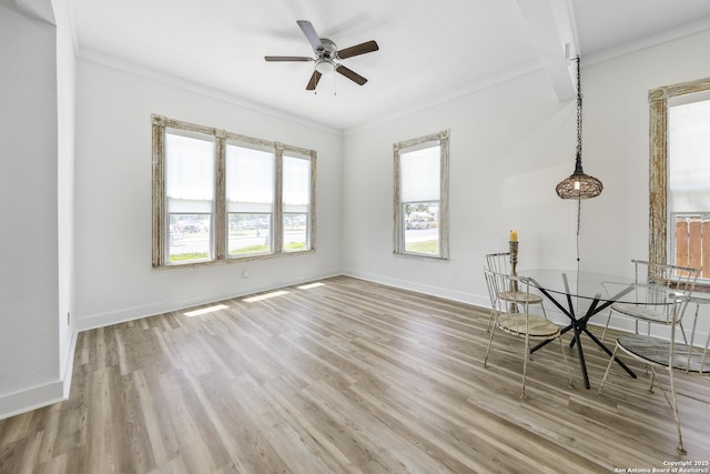 1526 Saint Marys, San Antonio, TX 78210 - unfurnished room featuring plenty of natural light, crown molding, a ceiling fan, wood finished floors, and baseboards