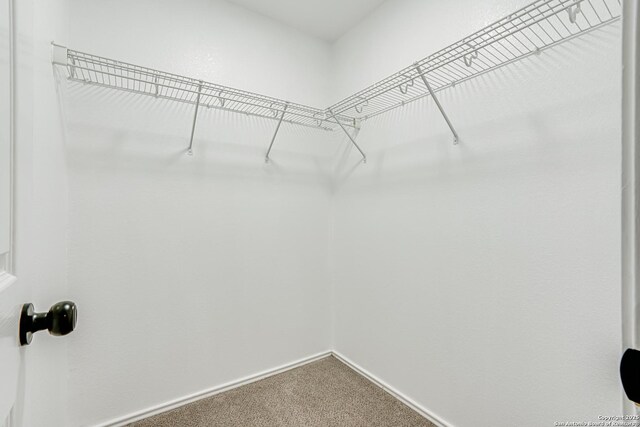 7111 Hallie, San Antonio, TX 78227 - spacious closet with carpet floors