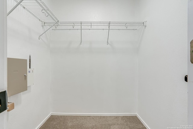 7111 Hallie, San Antonio, TX 78227 - walk in closet featuring carpet flooring
