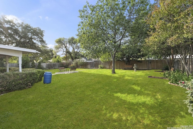 437 Spaceway, Windcrest, TX 78239 - view of yard