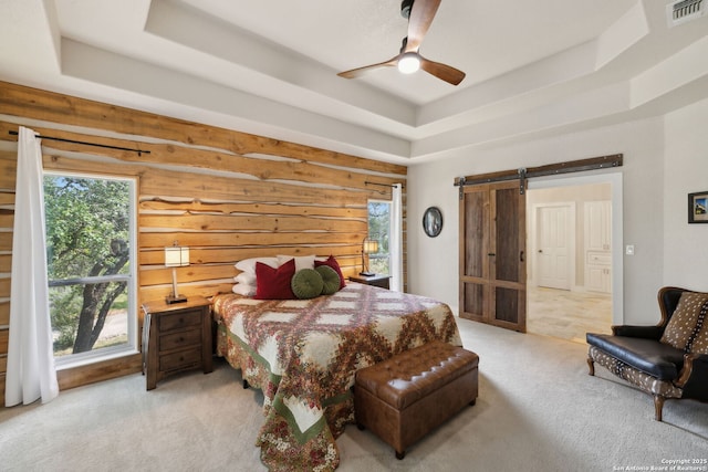 2803 River Way, Spring Branch, TX 78070 - bedroom with a raised ceiling, carpet, a barn door, and multiple windows