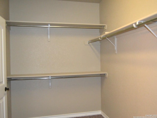 12118 Fort Leaton, San Antonio, TX 78254 - view of walk in closet