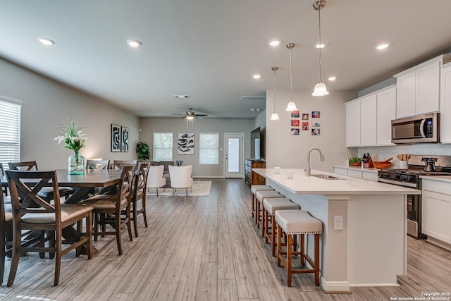 10206 Daylily, Boerne, TX 78006 - kitchen featuring stainless steel appliances, a sink, light wood finished floors, a kitchen island with sink, and recessed lighting