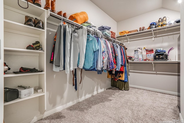 10206 Daylily, Boerne, TX 78006 - spacious closet featuring carpet flooring and lofted ceiling