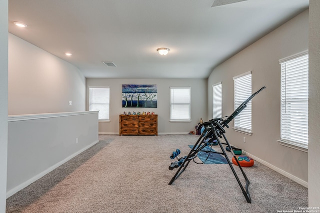 10206 Daylily, Boerne, TX 78006 - exercise room featuring healthy amount of natural light, carpet, baseboards, and recessed lighting