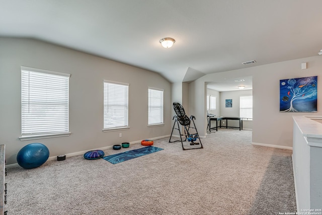 10206 Daylily, Boerne, TX 78006 - workout area featuring carpet flooring, vaulted ceiling, and baseboards