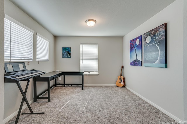 10206 Daylily, Boerne, TX 78006 - home office featuring carpet flooring and baseboards
