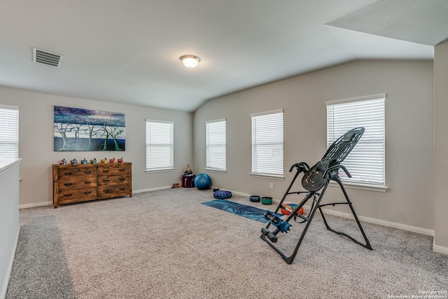 10206 Daylily, Boerne, TX 78006 - exercise area with lofted ceiling, carpet flooring, and baseboards