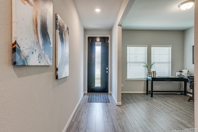 10206 Daylily, Boerne, TX 78006 - foyer featuring baseboards, wood finished floors, and healthy amount of natural light