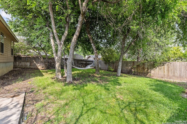 5303 Stormy Sunset, San Antonio, TX 78247 - view of yard