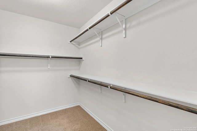 412 Town Frk, Cibolo, TX 78108 - walk in closet with carpet floors