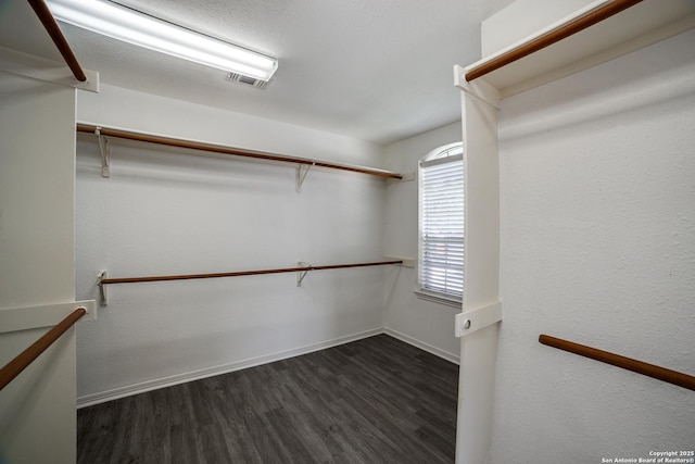 5018 Ashton Audrey, San Antonio, TX 78249 - walk in closet with dark wood-type flooring