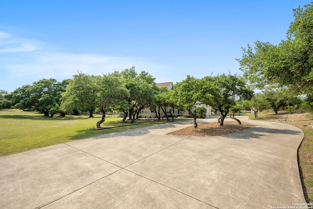 102 Kendall View Dr, Boerne, TX 78006 - view of property's community featuring a yard and curved driveway