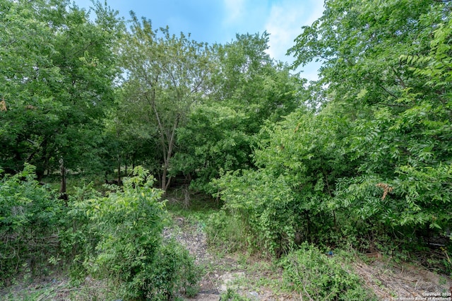 5731 Bypass Trl, San Antonio, TX 78244 - view of wooded area
