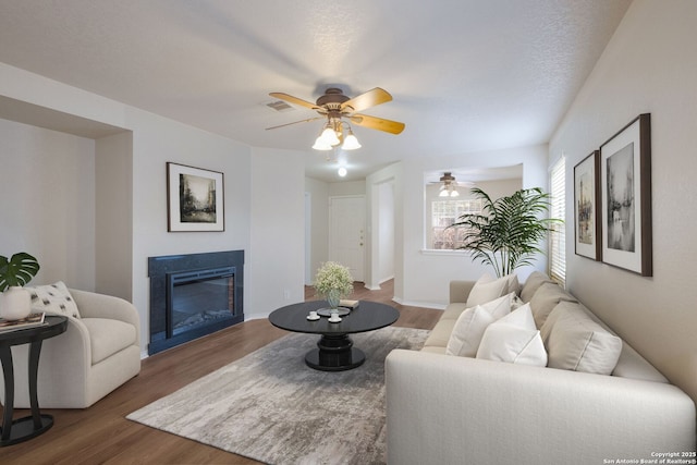 135 Agency Oaks, San Antonio, TX 78249 - living area featuring wood finished floors, ceiling fan, and a glass covered fireplace