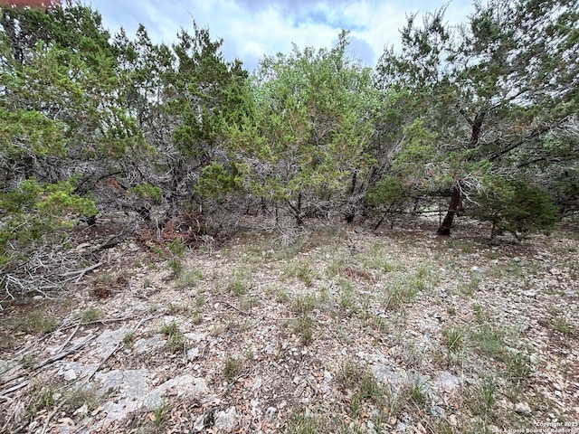 1197 Spice Wood, Fischer, TX 78623