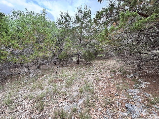 1197 Spice Wood, Fischer, TX 78623