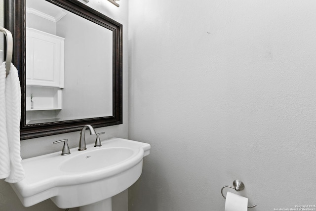 1170 Garraty Rd Unit 14, San Antonio, TX 78209 - bathroom with ornamental molding