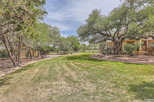 12424 Andice, Helotes, TX 78023 - view of grassy yard