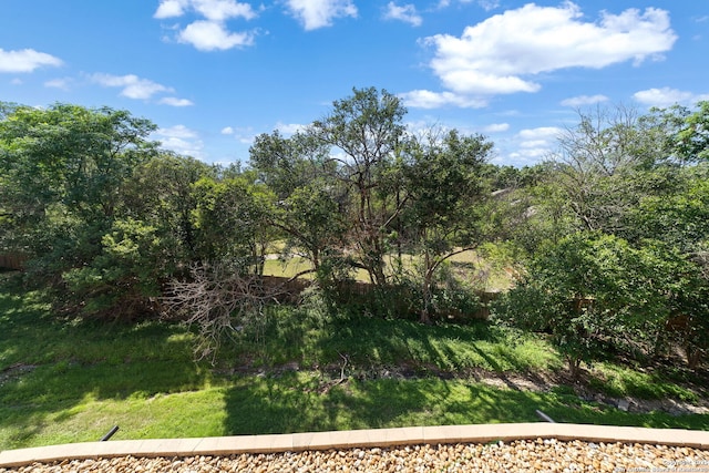 10955 Wurzbach Unit 905, San Antonio, TX 78230 - view of yard