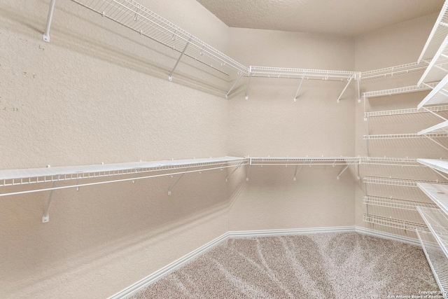 6031 Diego, San Antonio, TX 78253 - spacious closet with carpet flooring
