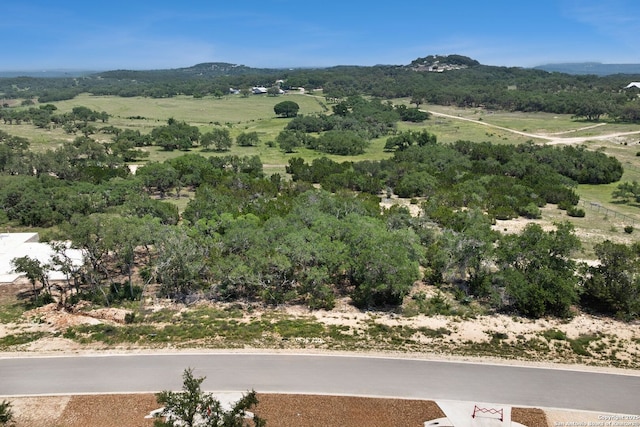 676 Travis Frst, Bulverde, TX 78163
