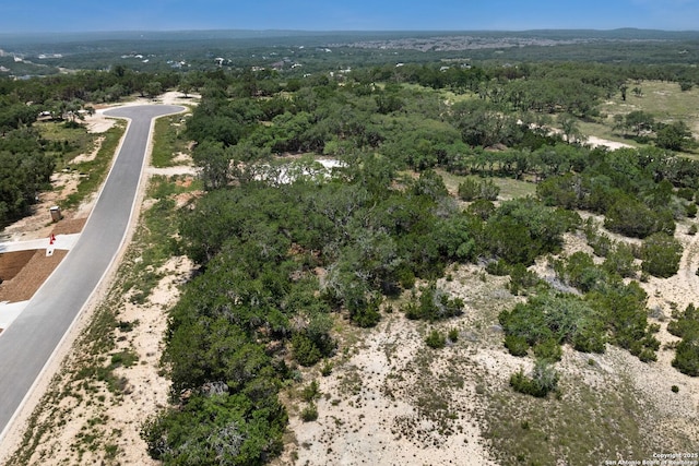 676 Travis Frst, Bulverde, TX 78163