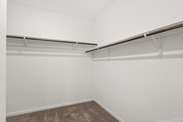 31908 Native Sun, Bulverde, TX 78163 - walk in closet with dark colored carpet