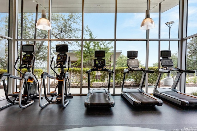 31908 Native Sun, Bulverde, TX 78163 - exercise room with expansive windows