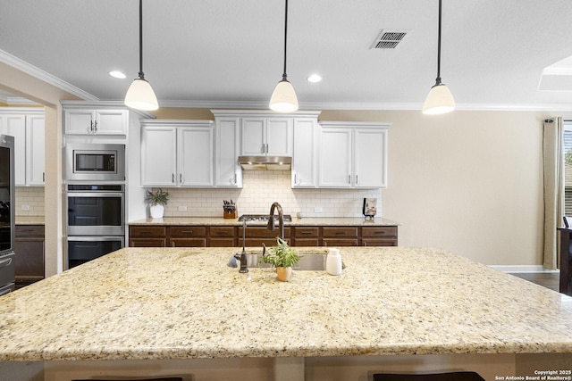 313 Canon Hill, Spring Branch, TX 78070 - kitchen featuring appliances with stainless steel finishes, a sink, crown molding, under cabinet range hood, and light stone counters