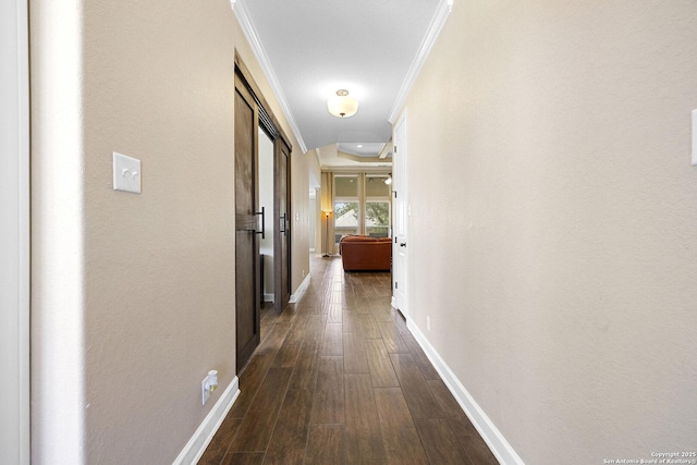 313 Canon Hill, Spring Branch, TX 78070 - corridor featuring baseboards, dark wood-type flooring, and crown molding