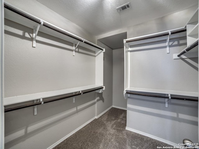 7010 Aphrodite Mist, San Antonio, TX 78252 - walk in closet with dark carpet