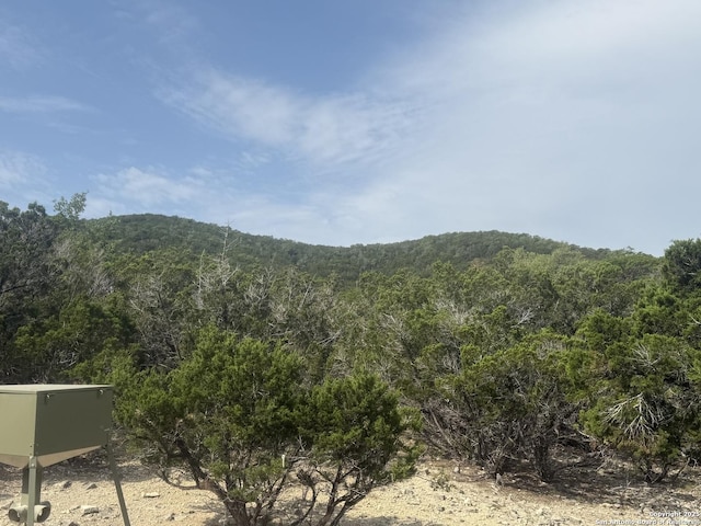 1608 Spring, Pipe Creek, TX 78063